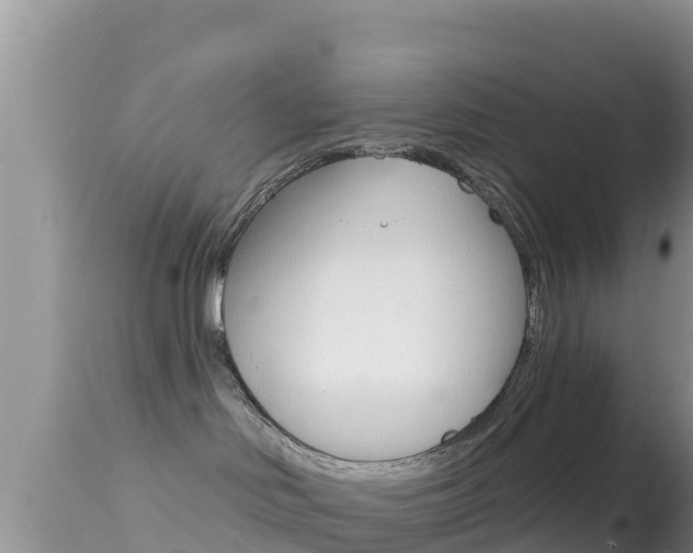 X0000114400046200910161107