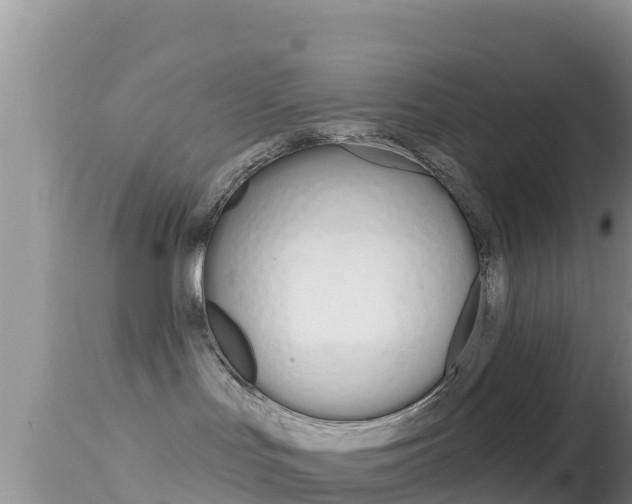 X0000114400047200910161107