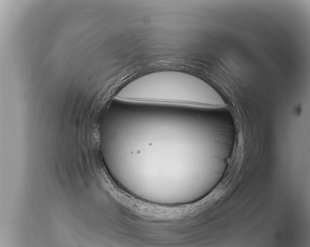 X0000114400048200910161107