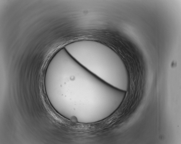 X0000114400049200910161106