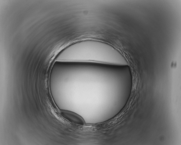 X0000114400050200910161106