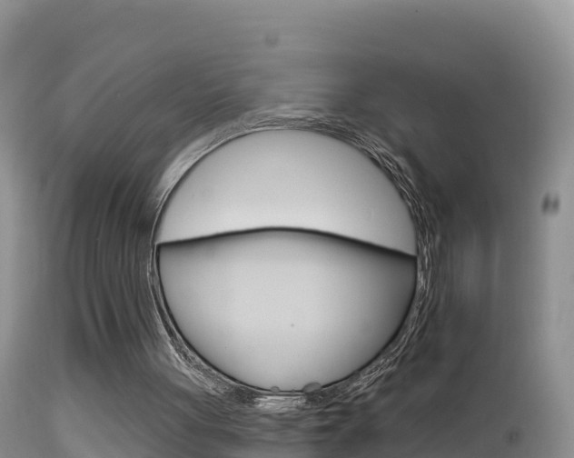 X0000114400051200910161106