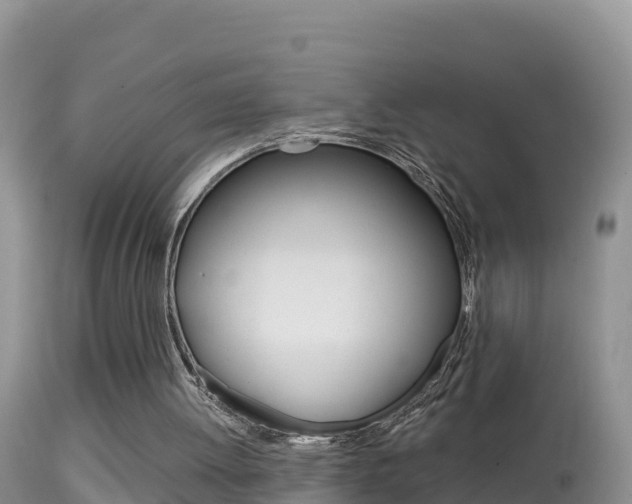 X0000114400052200910161106