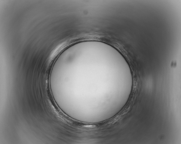 X0000114400053200910161106