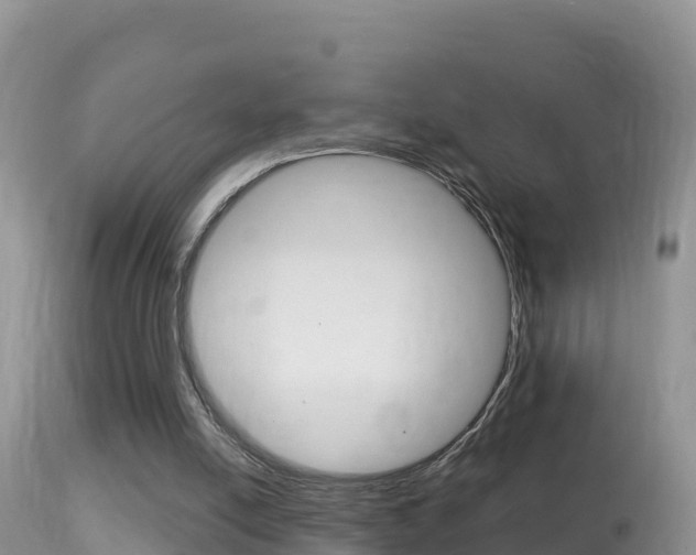 X0000114400054200910161106