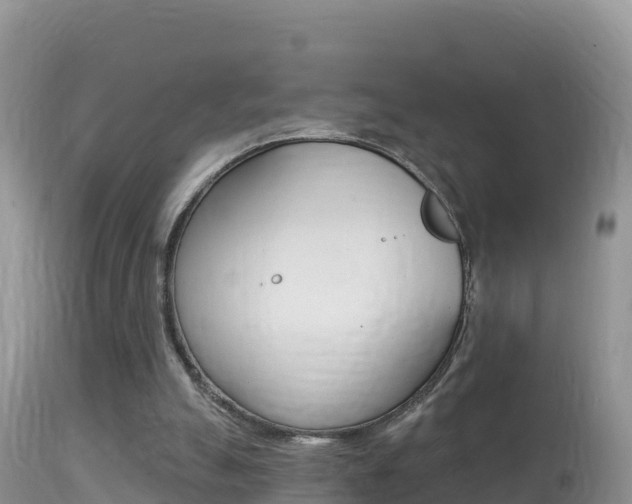 X0000114400055200910161106