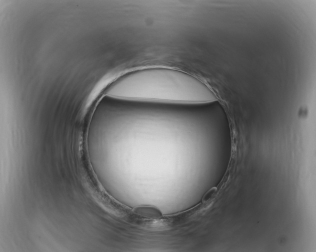 X0000114400056200910161106