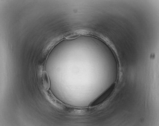 X0000114400057200910161106