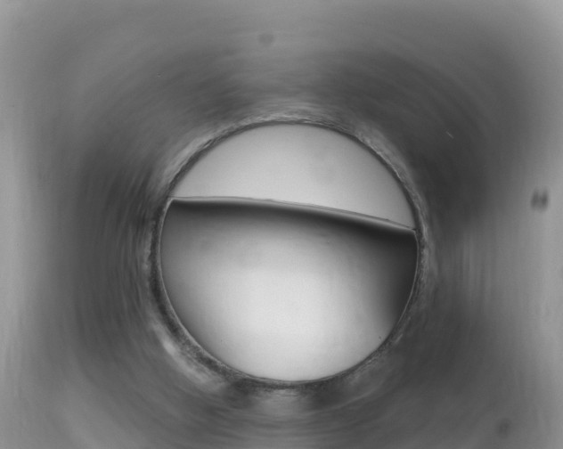 X0000114400058200910161106