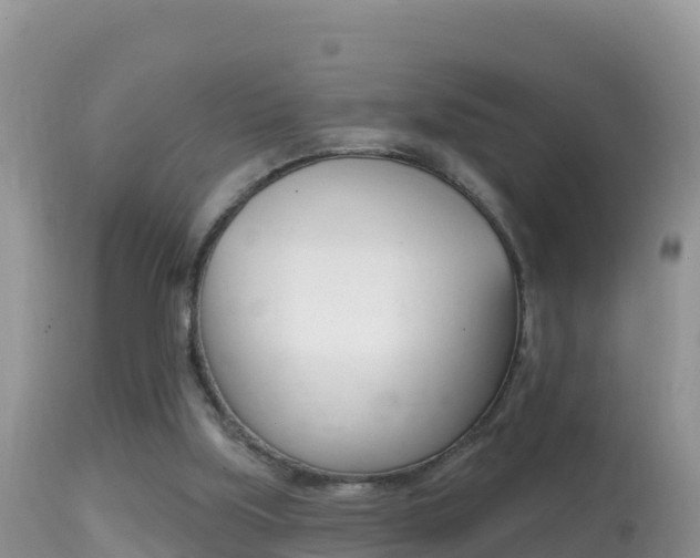 X0000114400059200910161106