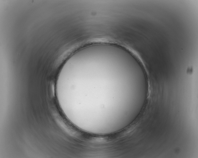 X0000114400061200910161106