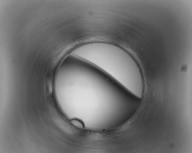 X0000114400062200910161106