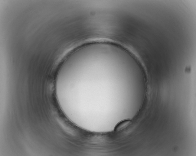 X0000114400063200910161106