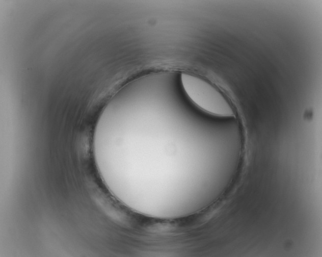 X0000114400065200910161106