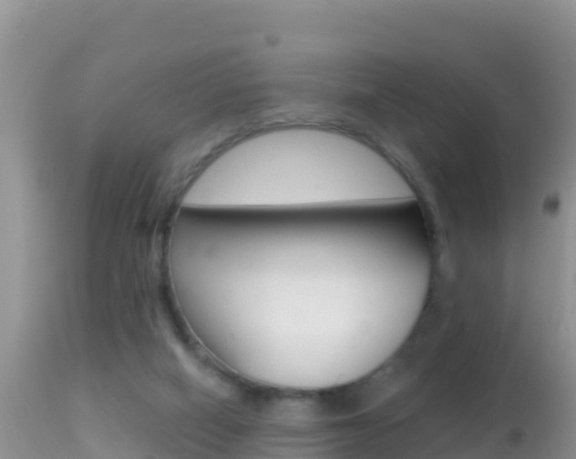 X0000114400066200910161106