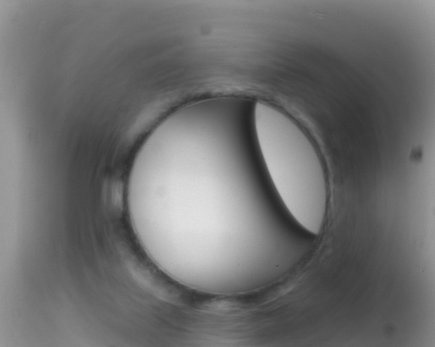 X0000114400067200910161106