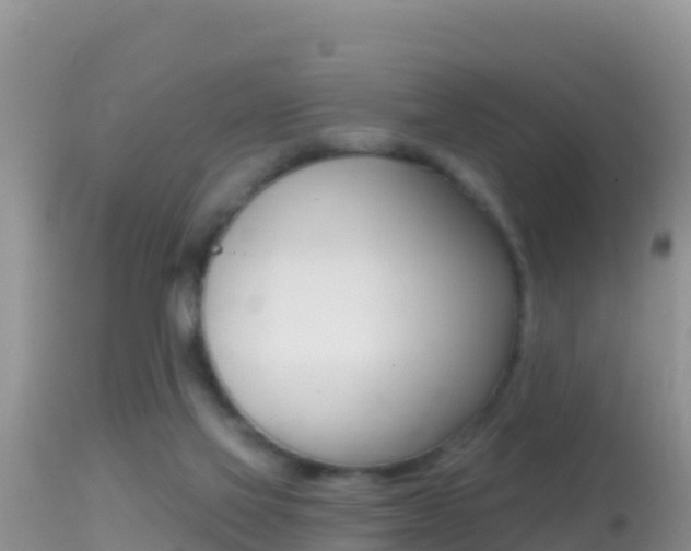 X0000114400069200910161106