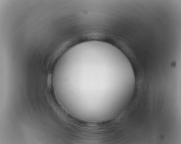 X0000114400070200910161106