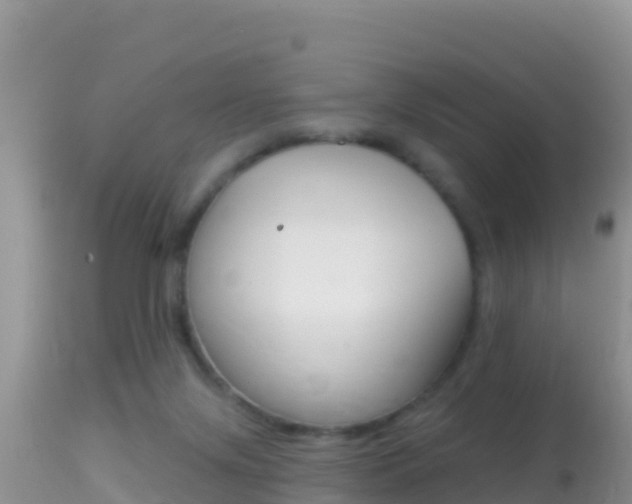 X0000114400071200910161106