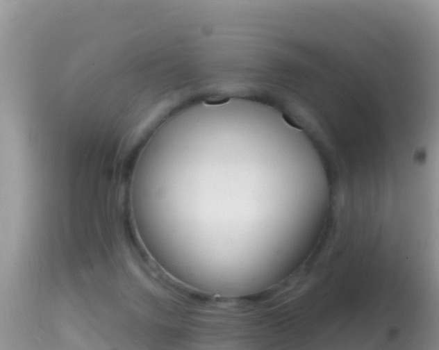 X0000114400072200910161106