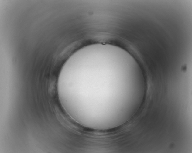 X0000114400073200910161106