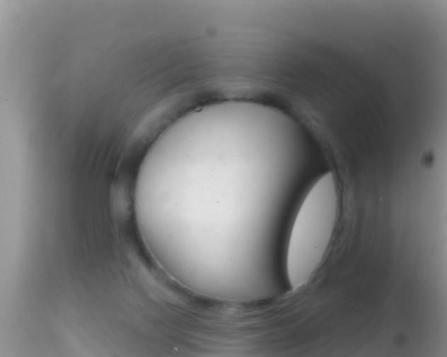 X0000114400074200910161106