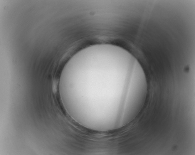 X0000114400075200910161106