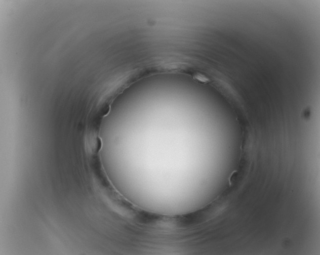 X0000114400076200910161106