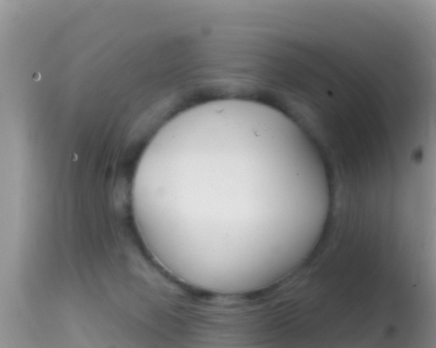 X0000114400077200910161106