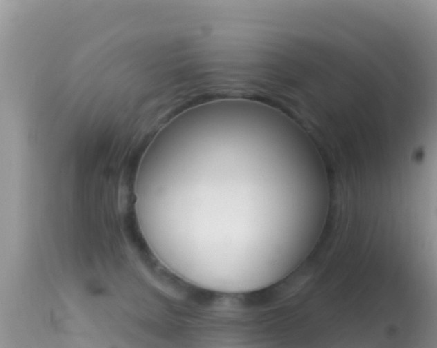 X0000114400080200910161106