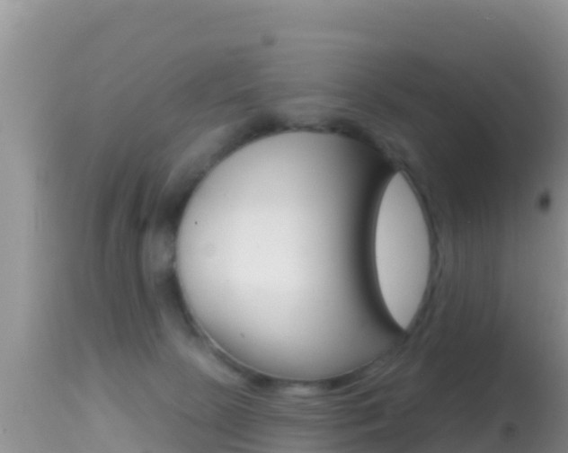 X0000114400081200910161106