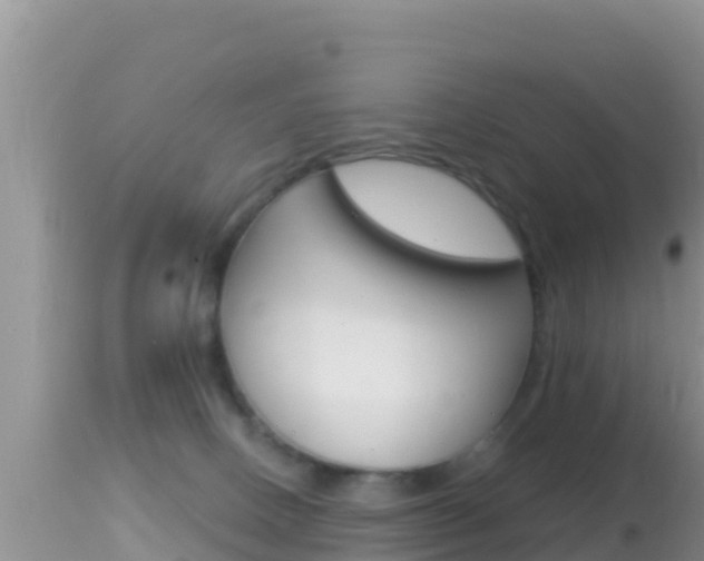 X0000114400082200910161106