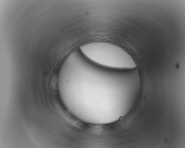 X0000114400083200910161106