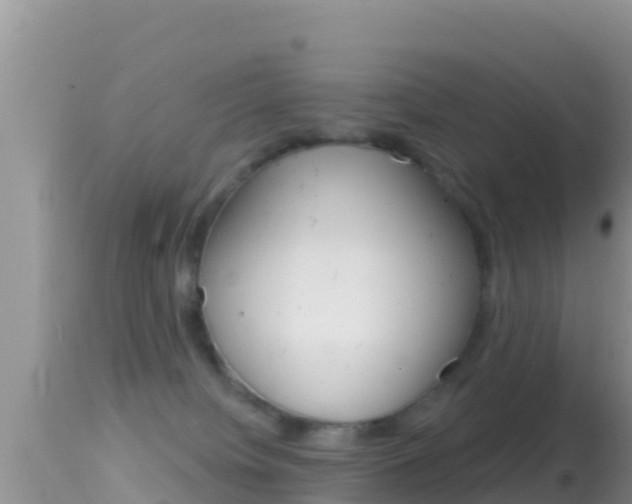 X0000114400084200910161106