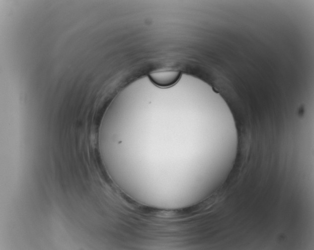 X0000114400085200910161106