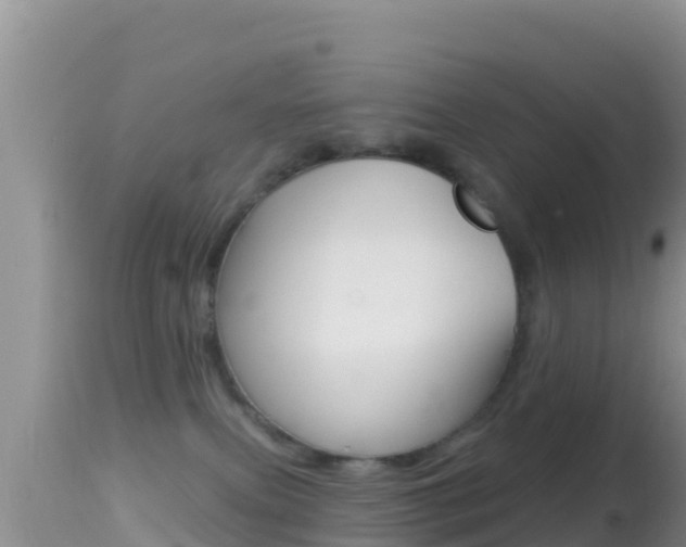 X0000114400087200910161106
