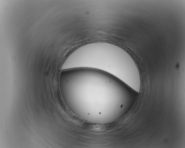 X0000114400088200910161106