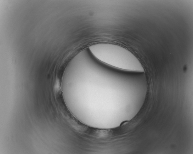 X0000114400089200910161106