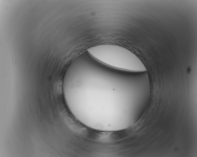 X0000114400090200910161106