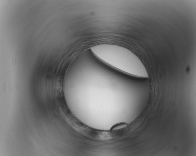 X0000114400091200910161106