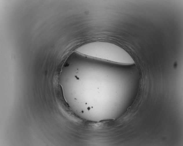 X0000114400092200910161107