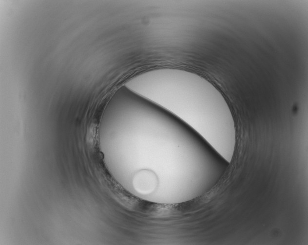 X0000114400093200910161107