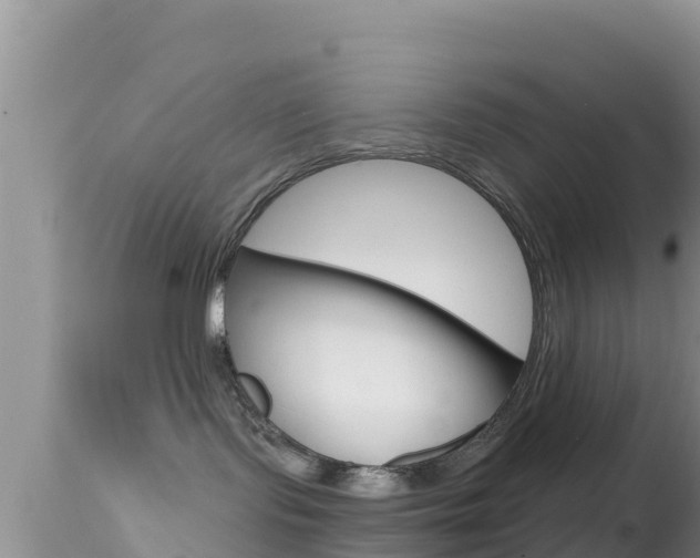 X0000114400095200910161107