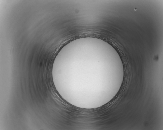 X0000114400096200910161107