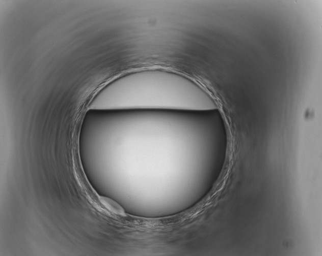 X0000114400097200910161106