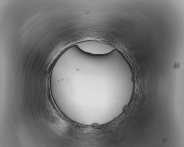 X0000114400098200910161106