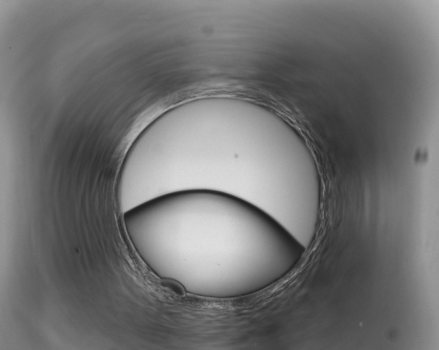 X0000114400099200910161106