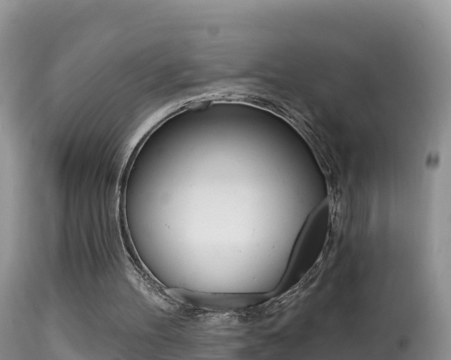 X0000114400100200910161106