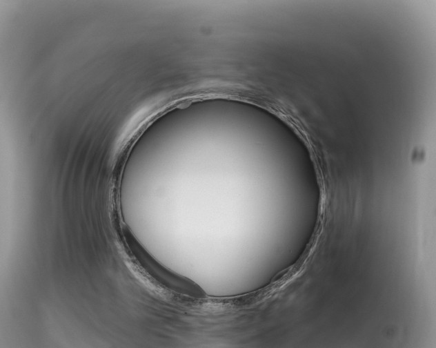 X0000114400101200910161106