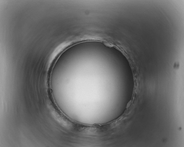 X0000114400104200910161105